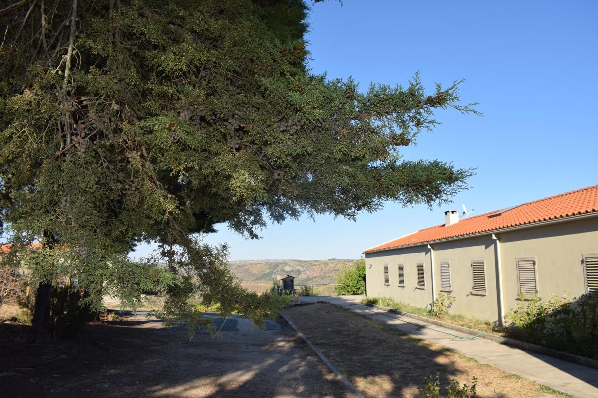 Douro Natura Bemposta  Εξωτερικό φωτογραφία